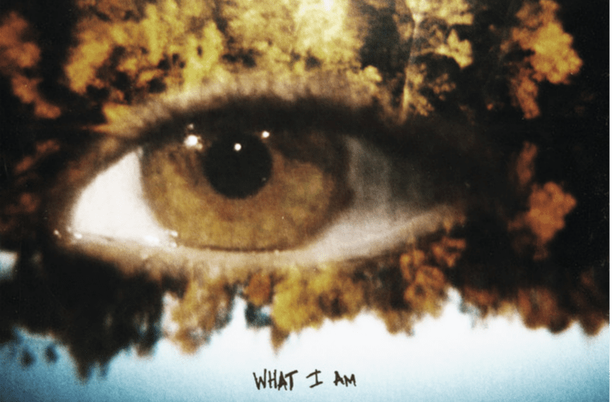 Song Review: ‘What I Am’ by ZAYN