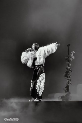 20251129-roxydekker-christineroad-05