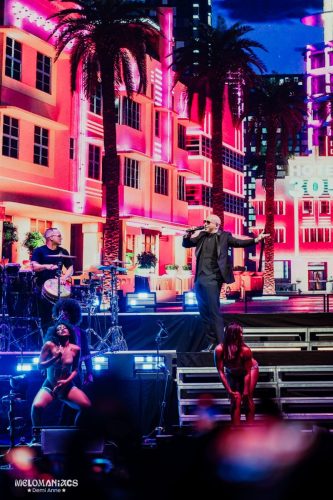 DAVH-20260715-Pitbull-15