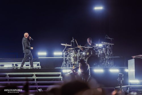 DAVH-20260715-Pitbull-18