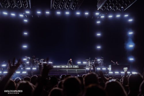 DAVH-20260715-Pitbull-19
