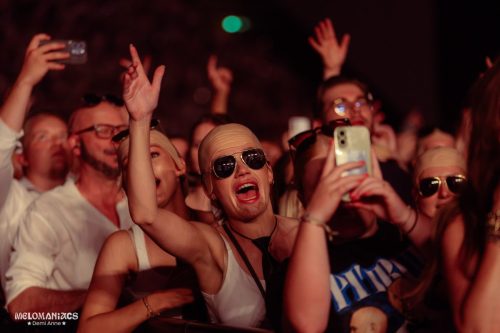 DAVH-20260715-Pitbull-8