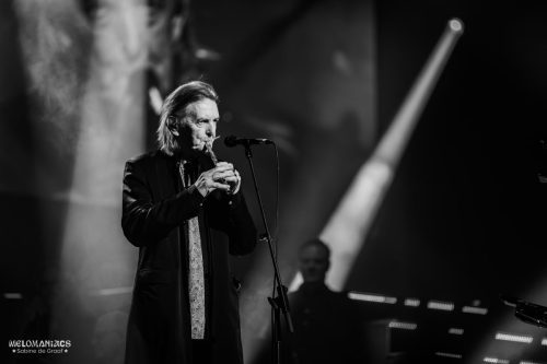 HGSF25_SecretGarden-1