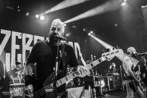 JOA25-Zebrahead-SDG-8