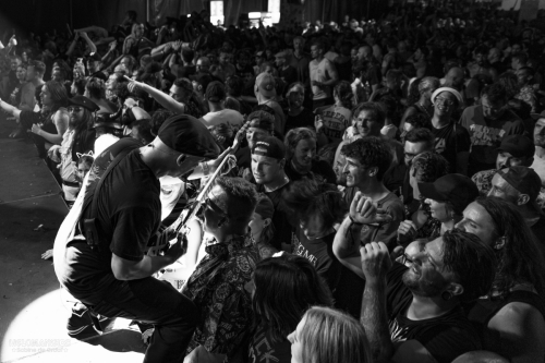 JOA25-Zebrahead-SDG-9