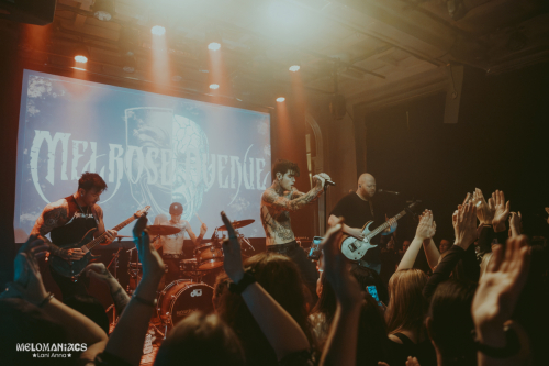 LASB-20251114-Melrose-Avenue-0579