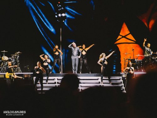 LLB26_LL_Pitbull (6)