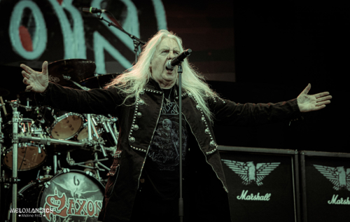 MF-Saxon-04