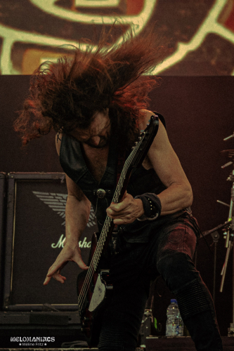 MF-Saxon-09