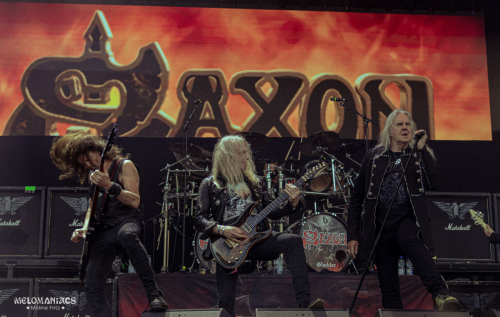 MF-Saxon-10