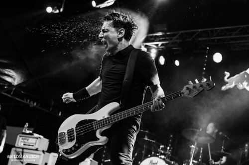 NR25_WiebkeKrause_DankJones-7