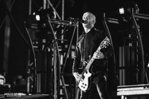 NR25_WiebkeKrause_RiseAgainst-024-11