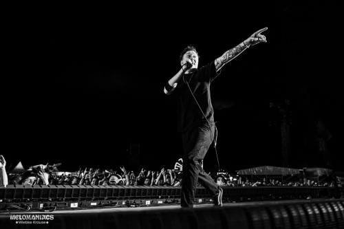 NR25_WiebkeKrause_RiseAgainst-024-12