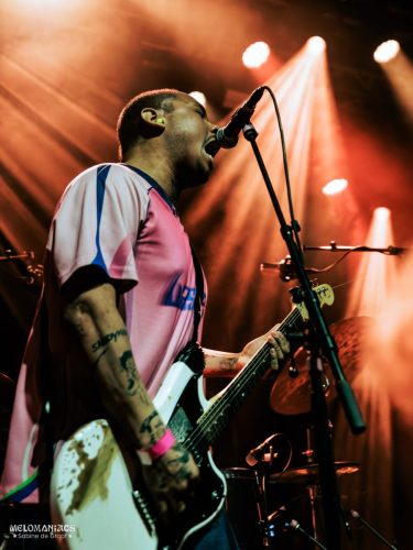 SDG_32Elephants_200226-1