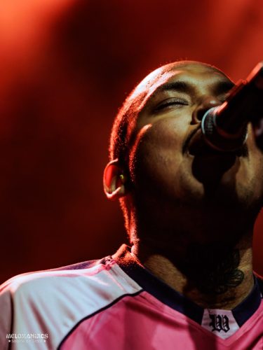 SDG_32Elephants_200226-2