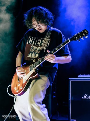 SDG_32Elephants_200226-4