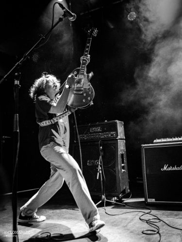 SDG_32Elephants_200226-5