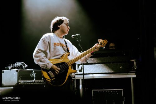 SDG_32Elephants_200226-7