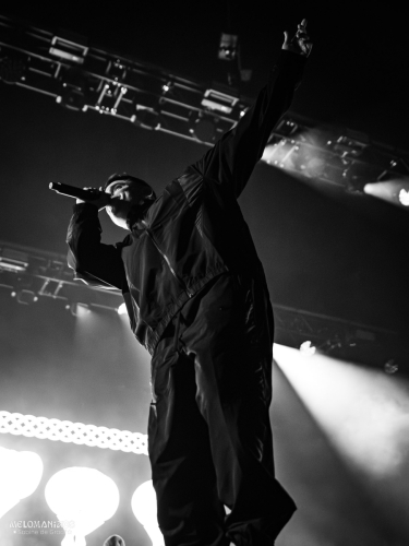 SDG_Kneecap_121125-03