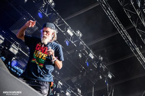 TheCongos2