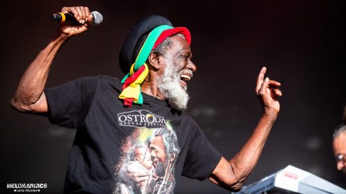 TheCongos5