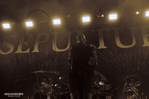 mm sepultura 11